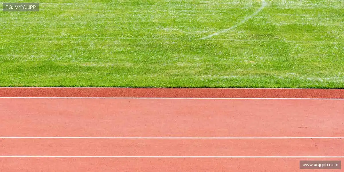 穿上热爱,⚽️ 用装备诠释你的体育态度,做球场最靓的崽!