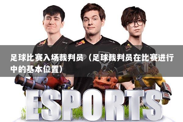 足球比赛入场裁判员（足球裁判员在比赛进行中的基本位置）