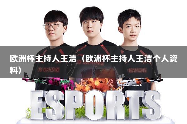 欧洲杯主持人王洁(欧洲杯主持人王洁个人资料)