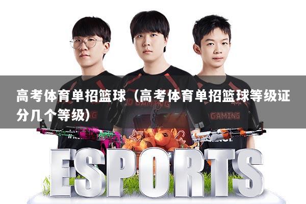 高考体育单招篮球(高考体育单招篮球等级证分几个等级)