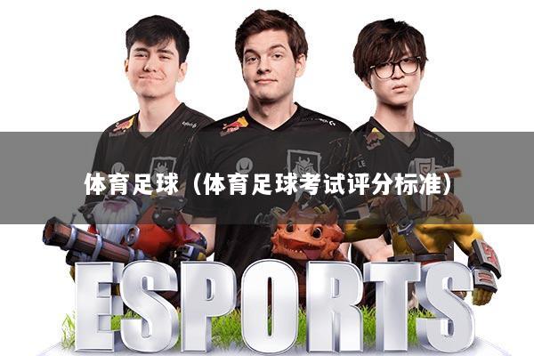 体育足球(体育足球考试评分标准)