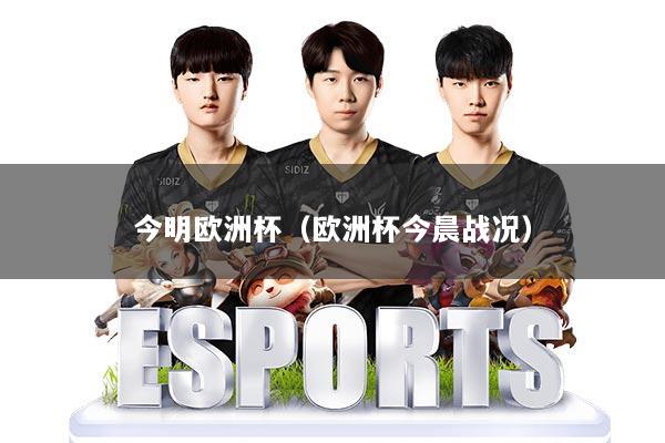 今明欧洲杯（欧洲杯今晨战况）